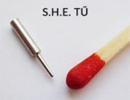 Hajbeültetés esetén is csak a legjobbat!